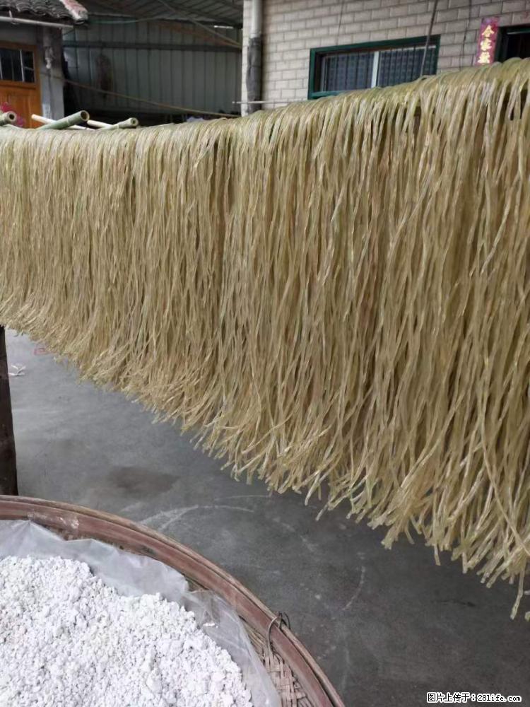 【灌阳正宗红薯粉】美女家里自己做的,干净卫生,假一赔十,价格合理,抢购电话:13737312895 - 美食天地 - 锦州生活社区 - 锦州28生活网 jinzhong.28life.com