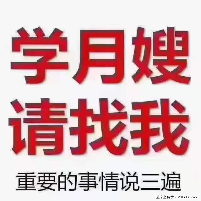 为什么要学习月嫂,育婴师? - 其他广告 - 广告专区 - 锦州分类信息 - 锦州28生活网 jinzhong.28life.com
