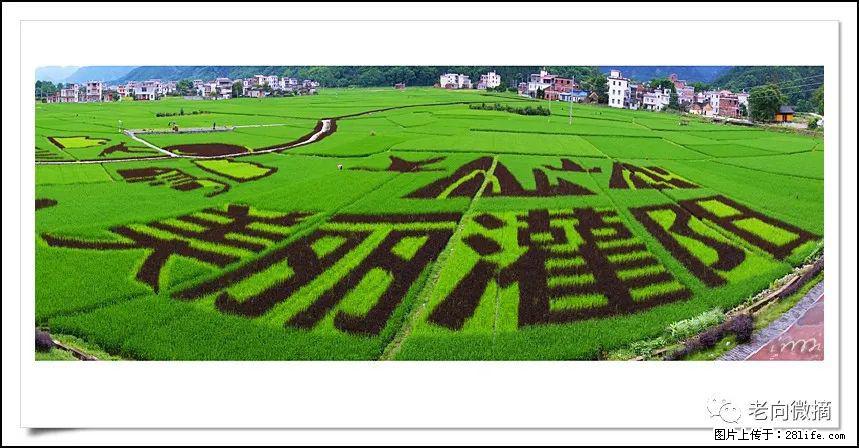 【春天，广西桂林灌阳县向您发出邀请！】开篇 - 游山玩水 - 锦州生活社区 - 锦州28生活网 jinzhong.28life.com