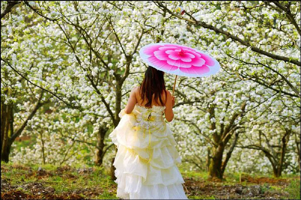 【春天，广西桂林灌阳县向您发出邀请！】我们在灌阳看梨花 - 游山玩水 - 锦州生活社区 - 锦州28生活网 jinzhong.28life.com