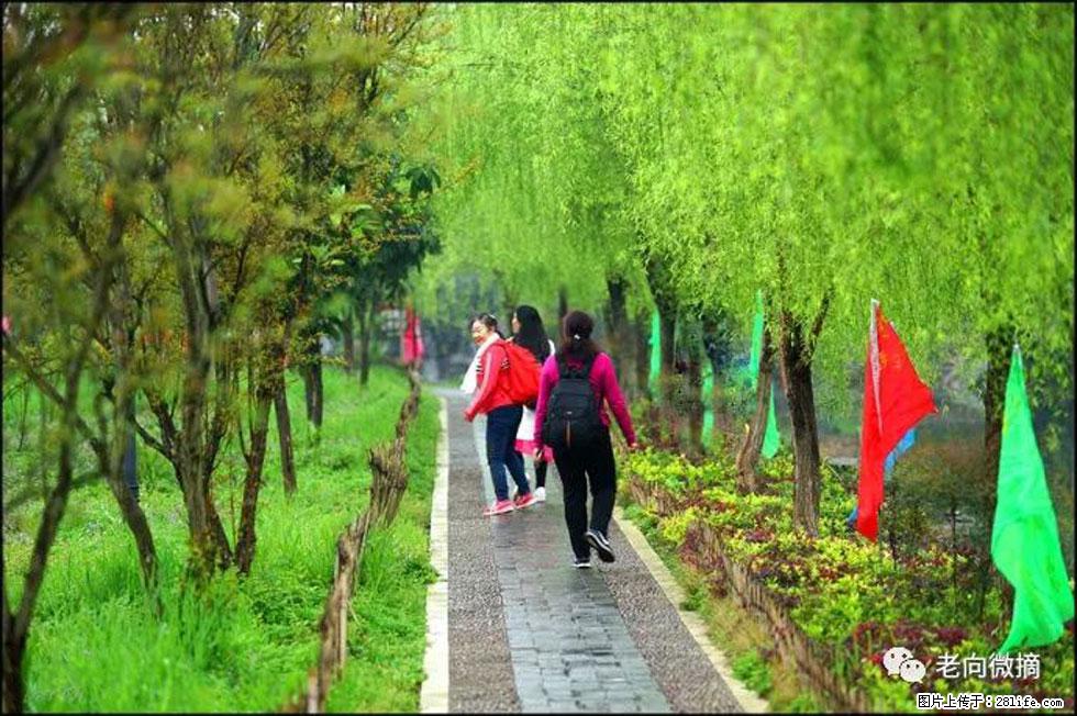 【春天，广西桂林灌阳县向您发出邀请！】江口老街又逢春 - 游山玩水 - 锦州生活社区 - 锦州28生活网 jinzhong.28life.com