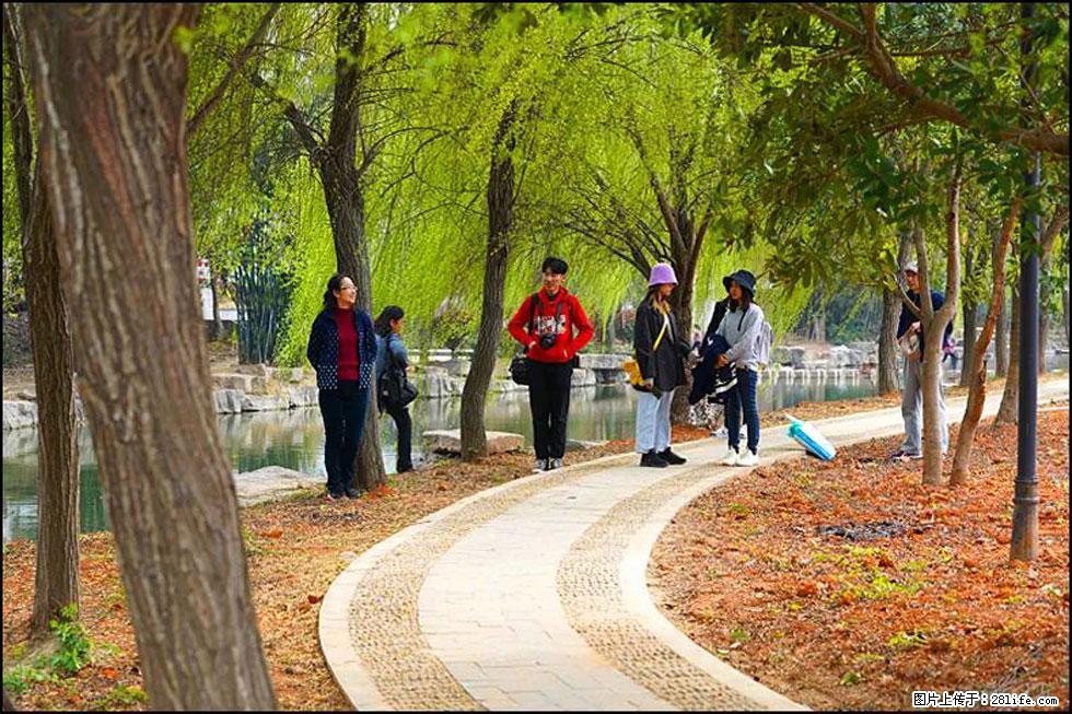 【春天，广西桂林灌阳县向您发出邀请！】江口老街又逢春 - 游山玩水 - 锦州生活社区 - 锦州28生活网 jinzhong.28life.com