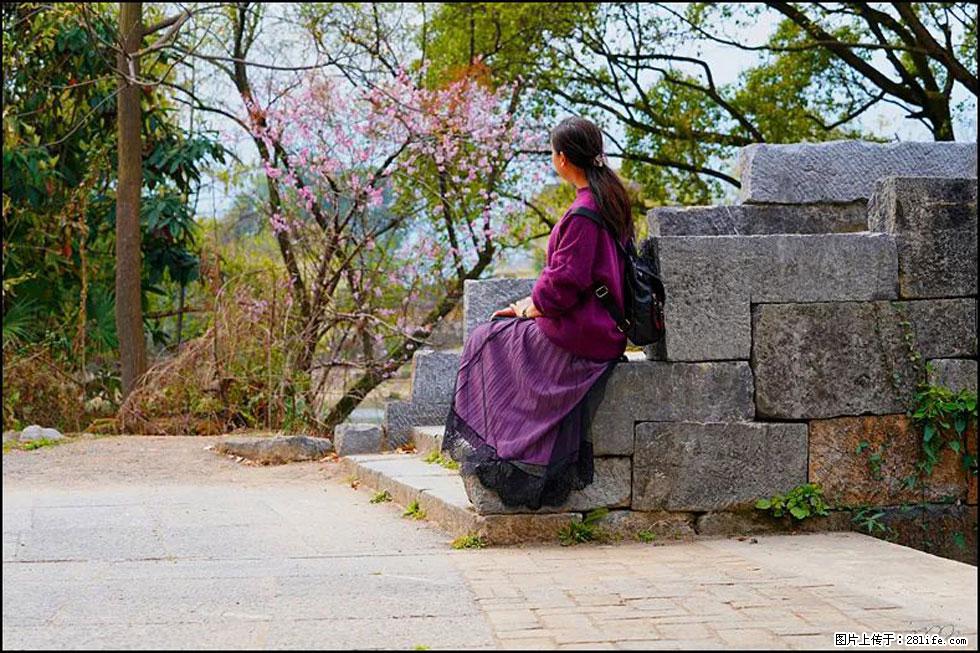 【春天，广西桂林灌阳县向您发出邀请！】江口老街又逢春 - 游山玩水 - 锦州生活社区 - 锦州28生活网 jinzhong.28life.com