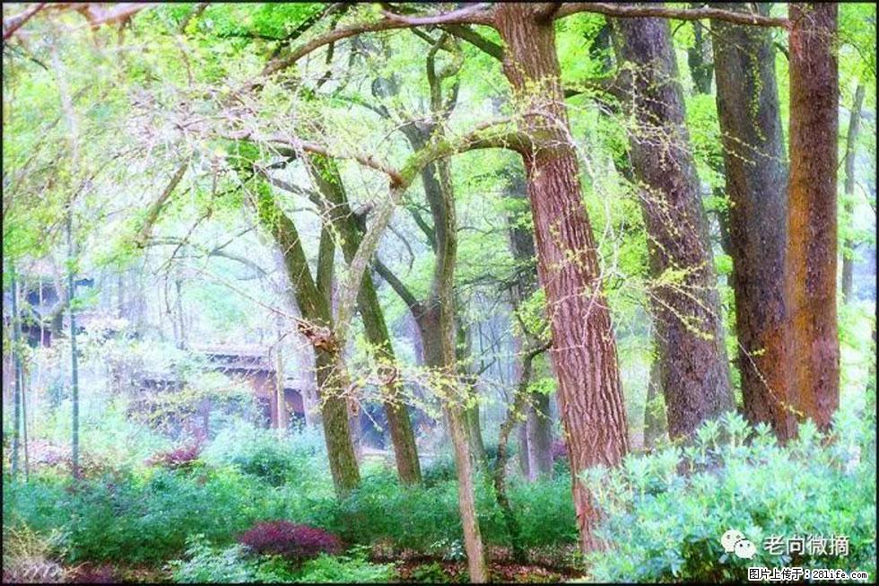 【春天，广西桂林灌阳县向您发出邀请！】在小龙村与春天约会 - 游山玩水 - 锦州生活社区 - 锦州28生活网 jinzhong.28life.com