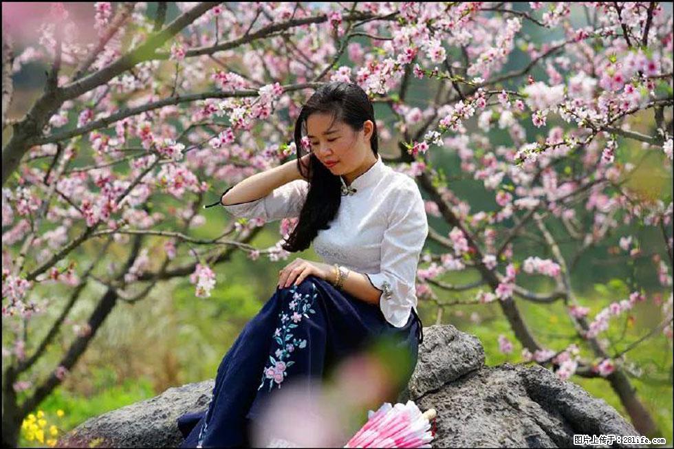 【春天，广西桂林灌阳县向您发出邀请！】望月岭上桃花开 - 游山玩水 - 锦州生活社区 - 锦州28生活网 jinzhong.28life.com