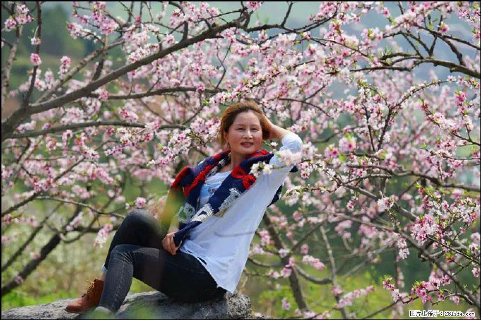 【春天，广西桂林灌阳县向您发出邀请！】望月岭上桃花开 - 游山玩水 - 锦州生活社区 - 锦州28生活网 jinzhong.28life.com