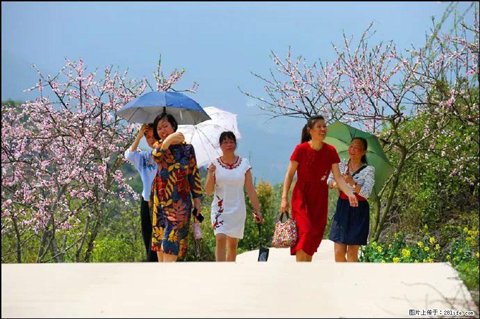【春天，广西桂林灌阳县向您发出邀请！】望月岭上桃花开 - 游山玩水 - 锦州生活社区 - 锦州28生活网 jinzhong.28life.com