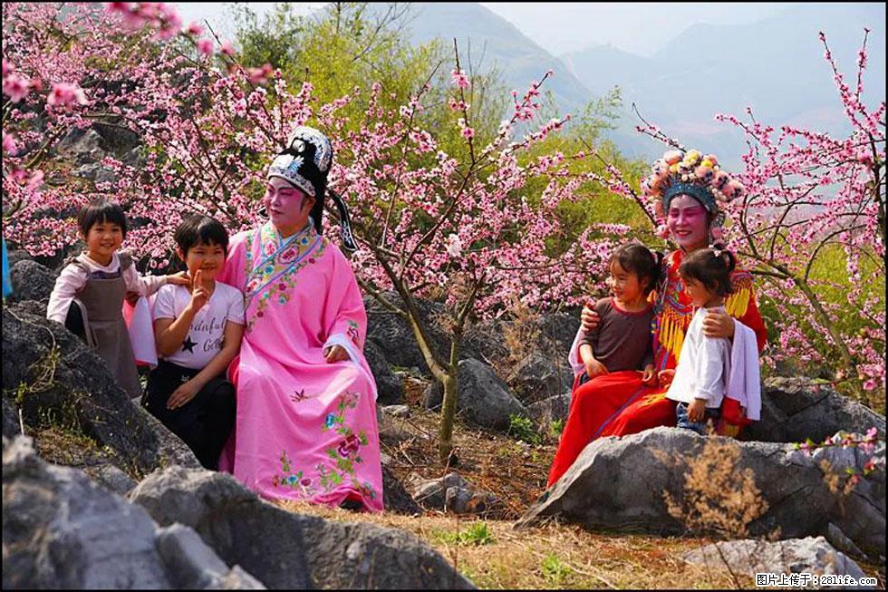 【春天，广西桂林灌阳县向您发出邀请！】望月岭上桃花开 - 游山玩水 - 锦州生活社区 - 锦州28生活网 jinzhong.28life.com
