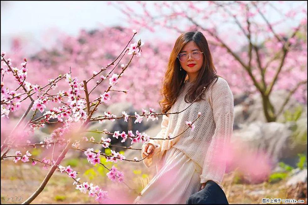 【春天，广西桂林灌阳县向您发出邀请！】望月岭上桃花开 - 游山玩水 - 锦州生活社区 - 锦州28生活网 jinzhong.28life.com