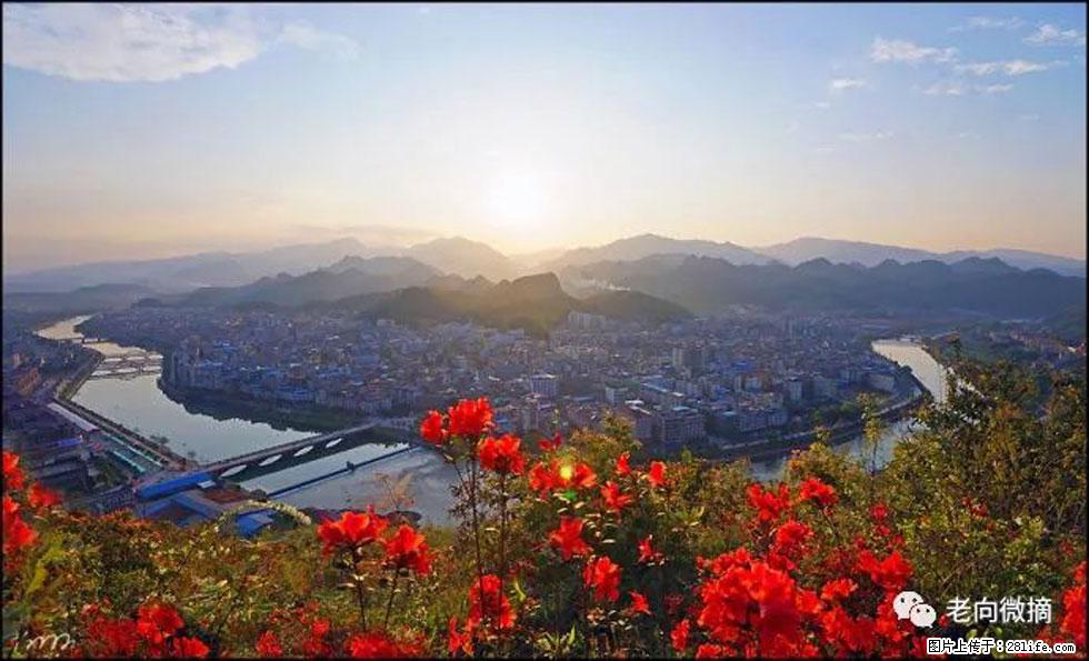 【春天,广西桂林灌阳县向您发出邀请!】登麒麟山,相约映山红 - 游山玩水 - 锦州生活社区 - 锦州28生活网 jinzhong.28life.com