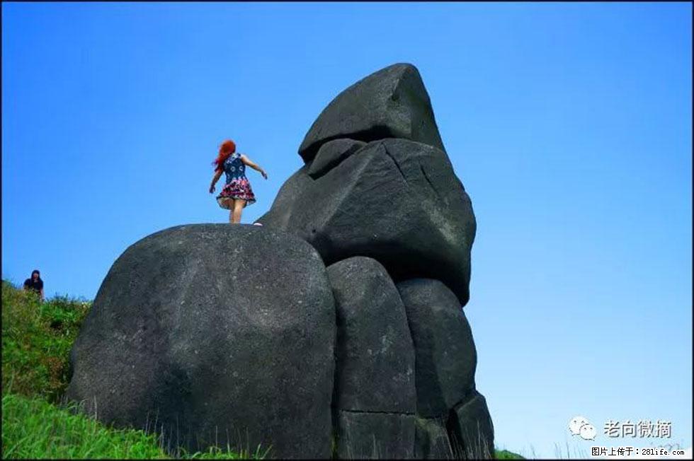 【春天，广西桂林灌阳县向您发出邀请！】宝盖山上映山红 - 游山玩水 - 锦州生活社区 - 锦州28生活网 jinzhong.28life.com