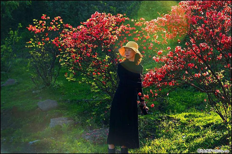 【春天，广西桂林灌阳县向您发出邀请！】春木界上映山红 - 游山玩水 - 锦州生活社区 - 锦州28生活网 jinzhong.28life.com