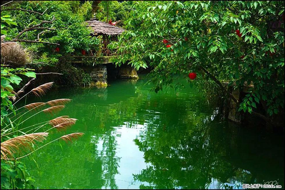 【春天,广西桂林灌阳县向您发出邀请!】如梦似幻莲溪庐 - 游山玩水 - 锦州生活社区 - 锦州28生活网 jinzhong.28life.com