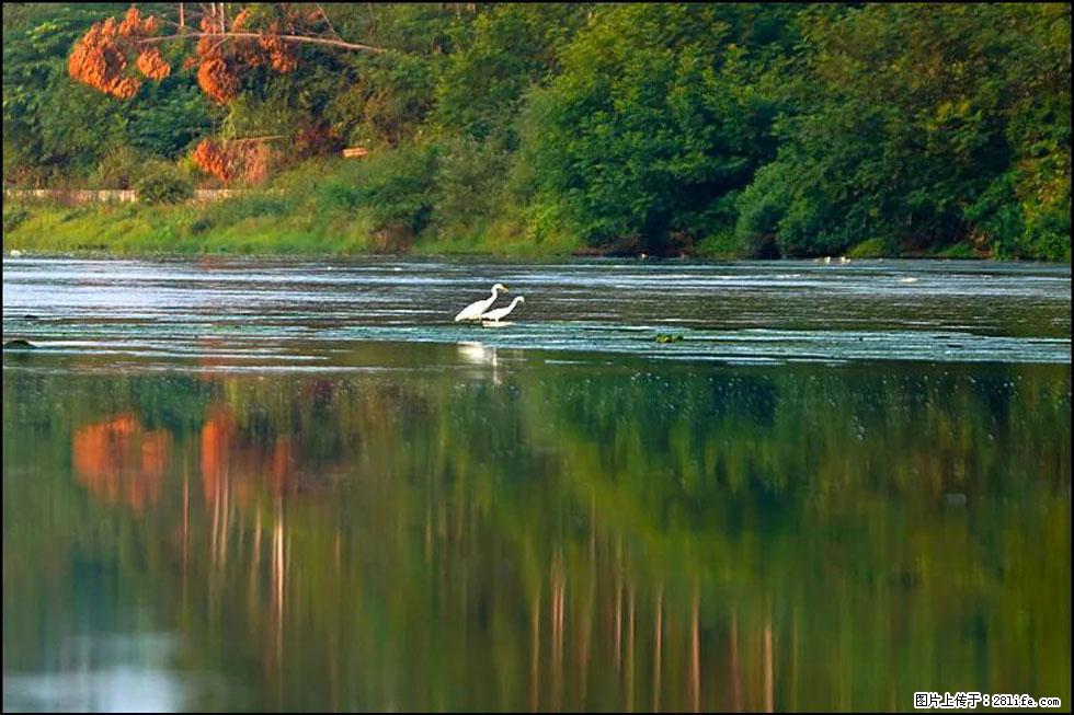 【春天,广西桂林灌阳县向您发出邀请!】熊家寨湿地公园 - 游山玩水 - 锦州生活社区 - 锦州28生活网 jinzhong.28life.com