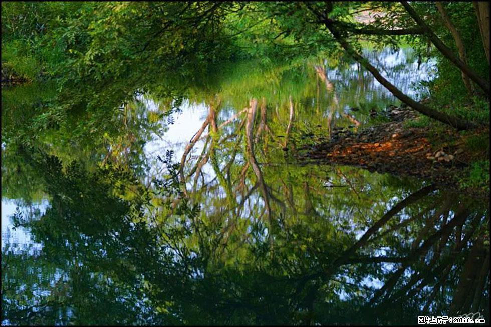 【春天,广西桂林灌阳县向您发出邀请!】熊家寨湿地公园 - 游山玩水 - 锦州生活社区 - 锦州28生活网 jinzhong.28life.com