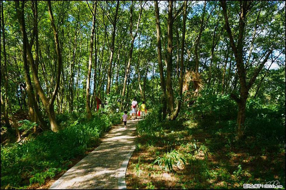 【春天,广西桂林灌阳县向您发出邀请!】熊家寨湿地公园 - 游山玩水 - 锦州生活社区 - 锦州28生活网 jinzhong.28life.com