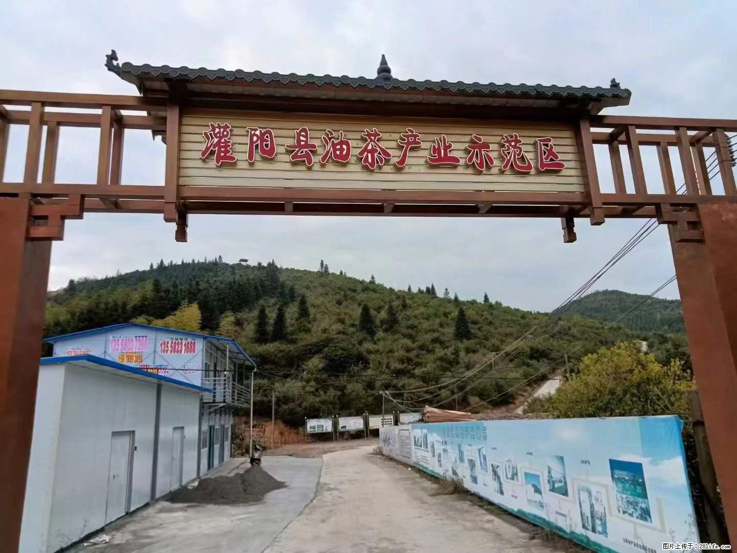 【灌阳县油茶产业示范区】一个有着充实的精神生活的人,对待身外之物自会有一种淡泊的态度 - 土特产 - 饮食特产 - 锦州分类信息 - 锦州28生活网 jinzhong.28life.com