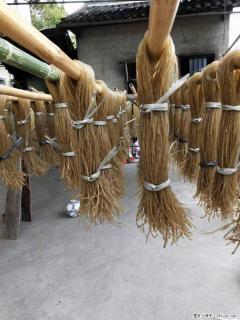 【灌阳正宗红薯粉】美女家里自己做的，干净卫生，假一赔十，价格合理，抢购电话：13737312895 - 锦州28生活网 jinzhong.28life.com