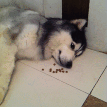 笑癫了!一女的怀孕三年未生,他终于忍不住了... - 娱乐八卦 - 锦州生活社区 - 锦州28生活网 jinzhong.28life.com