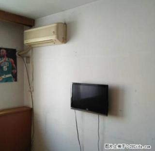 古城新苑 一室 中等装修 干净整洁 可拎包入住 - 锦州28生活网 jinzhong.28life.com