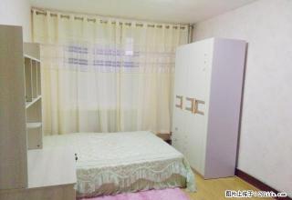 新玛特英特附近电业小区 精装一室不收中介费室内干净立正拎包住 - 锦州28生活网 jinzhong.28life.com