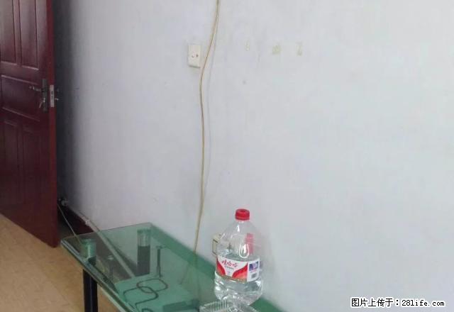 月租 花鸟鱼市一室一厅地板地砖干净年轻人喜欢的装修看了就相中 - 房屋出租 - 房屋租售 - 锦州分类信息 - 锦州28生活网 jinzhong.28life.com