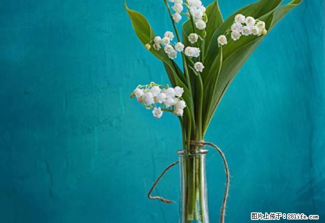 可月租 女儿里 中等装修 家具家电齐全 - 房屋出租 - 房屋租售 - 锦州分类信息 - 锦州28生活网 jinzhong.28life.com