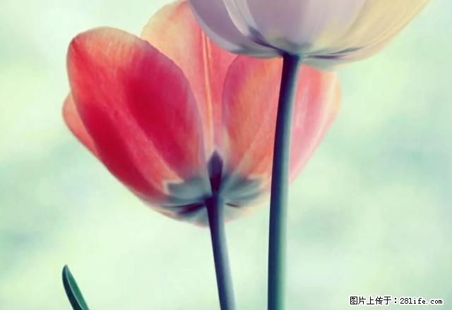 可短租 新玛特 平安里 精装修 家具家电齐全 - 房屋出租 - 房屋租售 - 锦州分类信息 - 锦州28生活网 jinzhong.28life.com