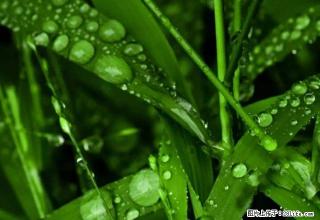 可短租 精装修 幸福家园 两室一厅 家电家具齐全能上网80 - 锦州28生活网 jinzhong.28life.com