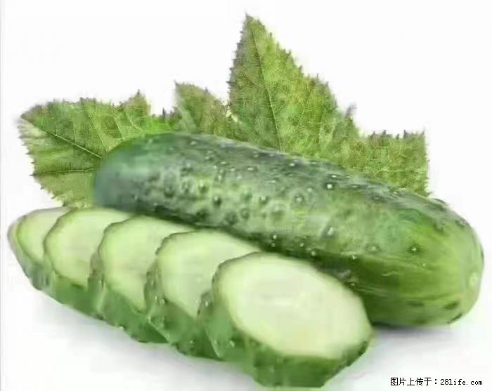 【生活小常识】吃黄瓜的好处 - 生活百科 - 锦州生活社区 - 锦州28生活网 jinzhong.28life.com