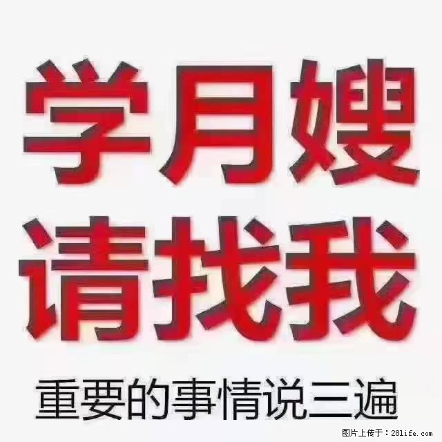 【招聘】月嫂,上海徐汇区 - 职场交流 - 锦州生活社区 - 锦州28生活网 jinzhong.28life.com