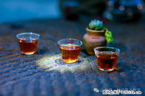 时间果百年古树2025年春红茶 - 购物交流 - 锦州生活社区 - 锦州28生活网 jinzhong.28life.com