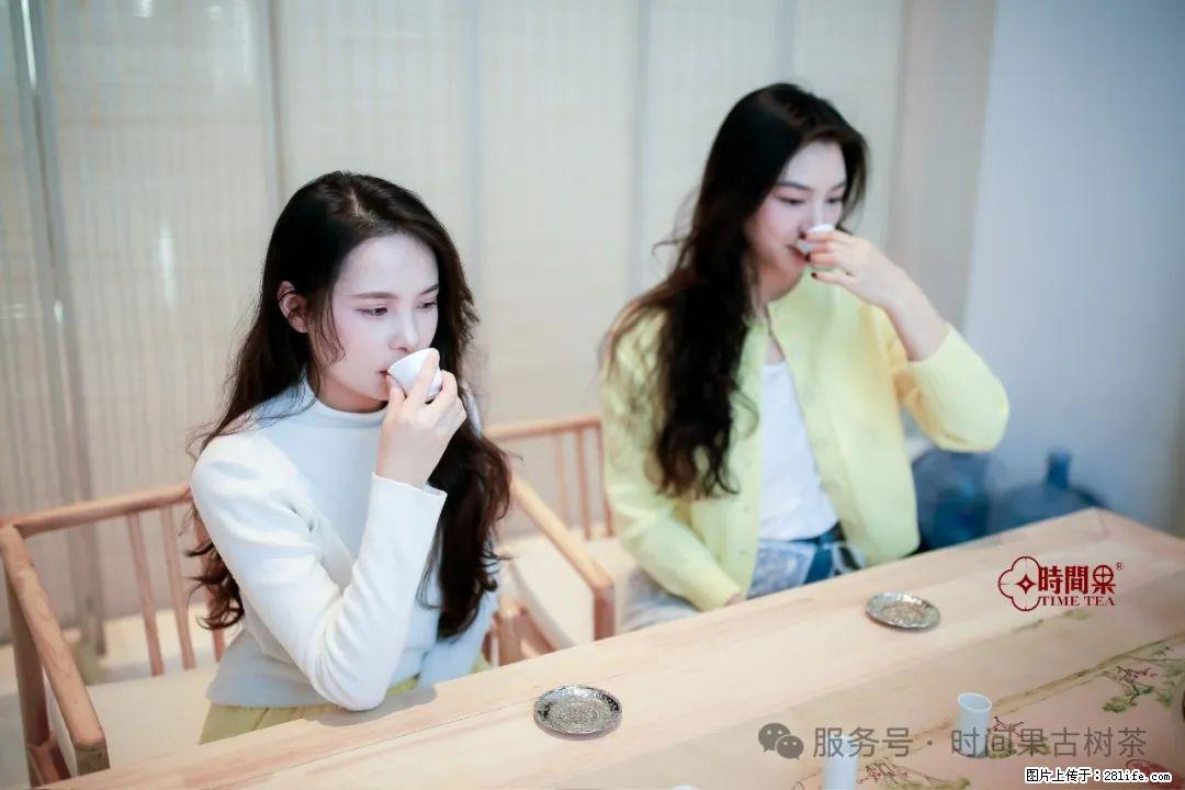 时间果百年古树龙珠普洱生茶 - 购物交流 - 锦州生活社区 - 锦州28生活网 jinzhong.28life.com