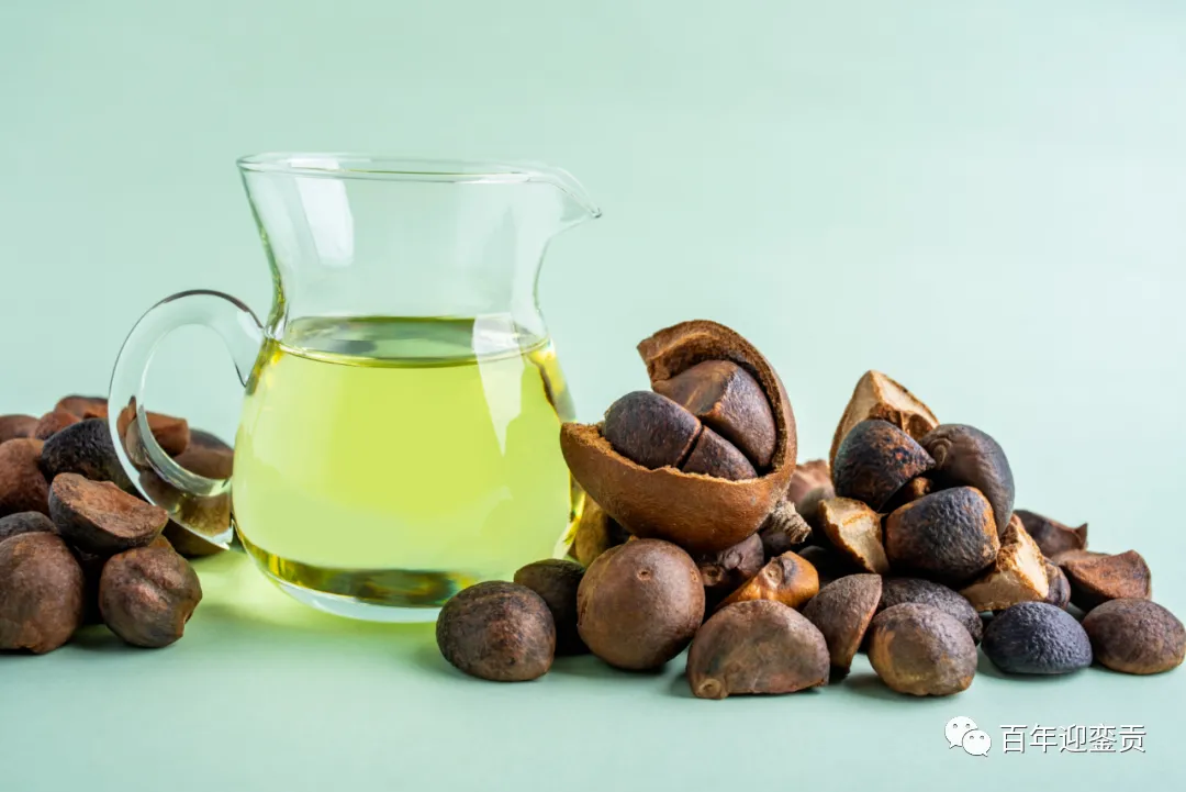 世界没有真相，只有认知，最好的食用油是中国的山茶油！ - 锦州生活资讯 - 锦州28生活网 jinzhong.28life.com