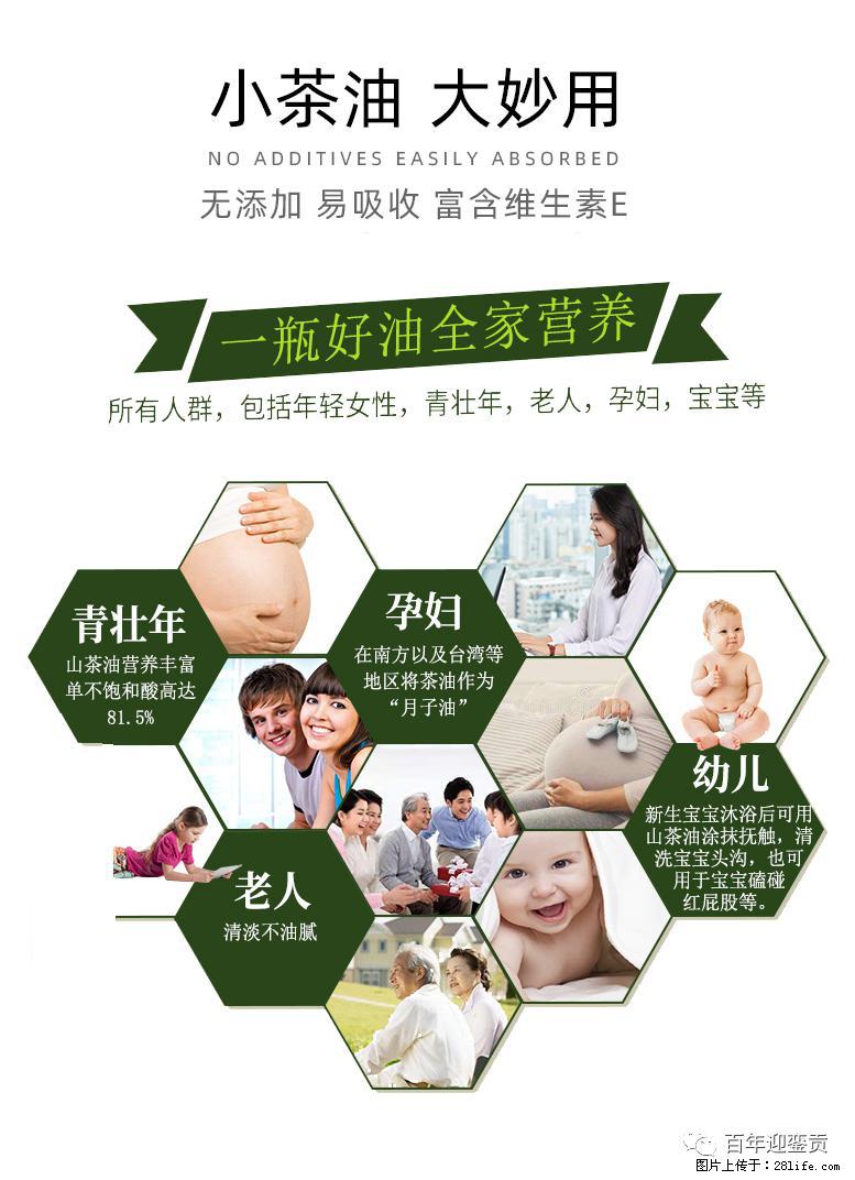 世界没有真相，只有认知，最好的食用油是中国的山茶油！ - 锦州生活资讯 - 锦州28生活网 jinzhong.28life.com