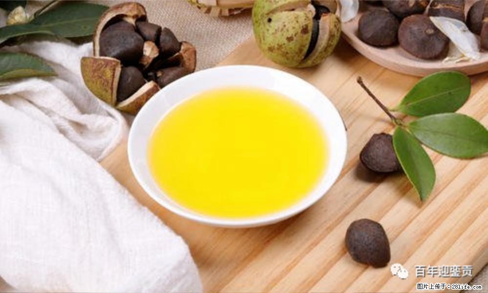 世界没有真相，只有认知，最好的食用油是中国的山茶油！ - 锦州生活资讯 - 锦州28生活网 jinzhong.28life.com