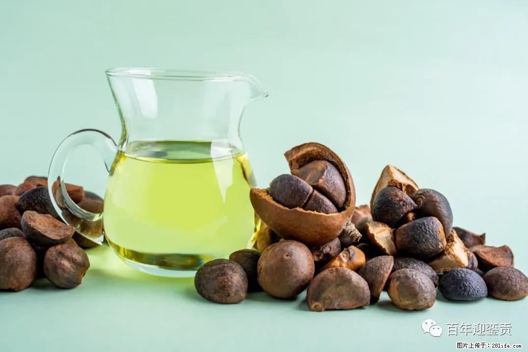 世界没有真相，只有认知，最好的食用油是中国的山茶油！ - 锦州生活资讯 - 锦州28生活网 jinzhong.28life.com