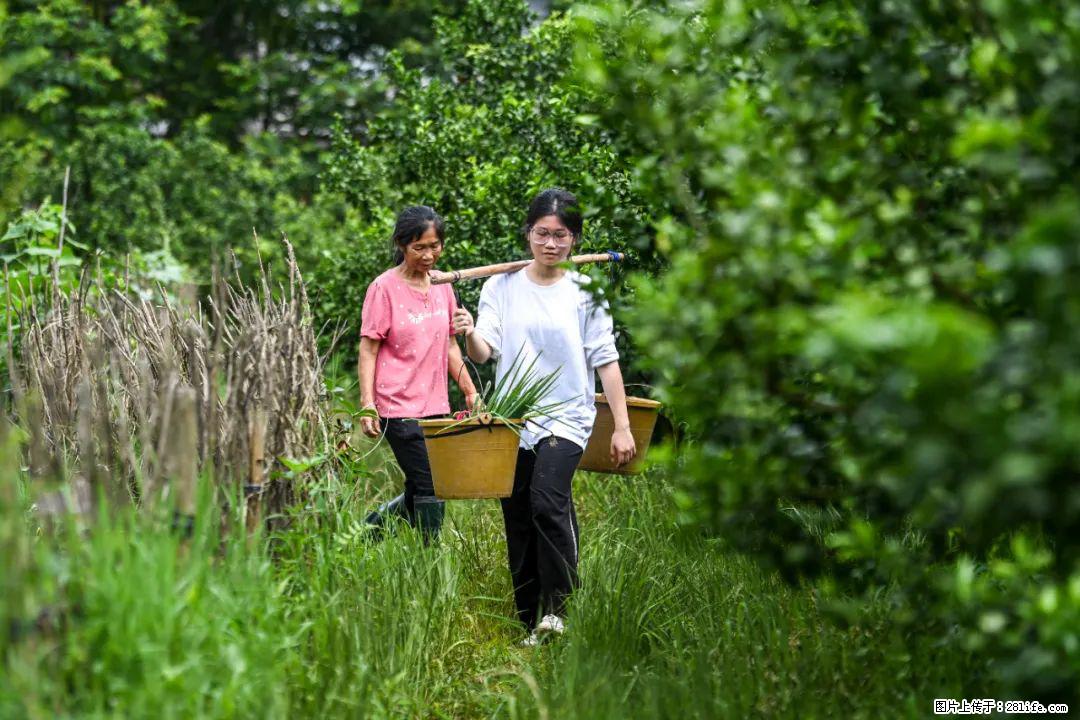 全网追的“扁担女孩”，找了一份暑假工，时薪12元 - 锦州生活资讯 - 锦州28生活网 jinzhong.28life.com