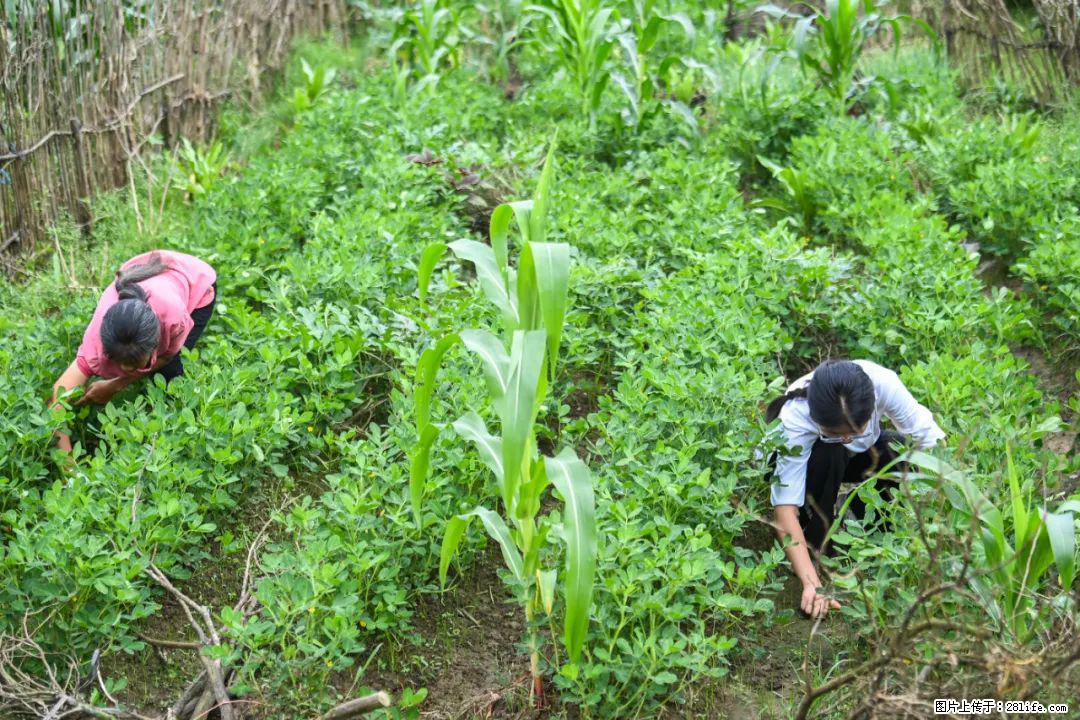 全网追的“扁担女孩”，找了一份暑假工，时薪12元 - 锦州生活资讯 - 锦州28生活网 jinzhong.28life.com