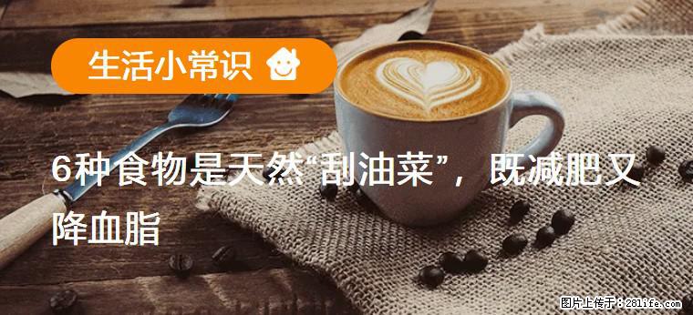 【生活小常识】6种食物是天然“刮油菜”,既减肥又降血脂 - 锦州生活资讯 - 锦州28生活网 jinzhong.28life.com