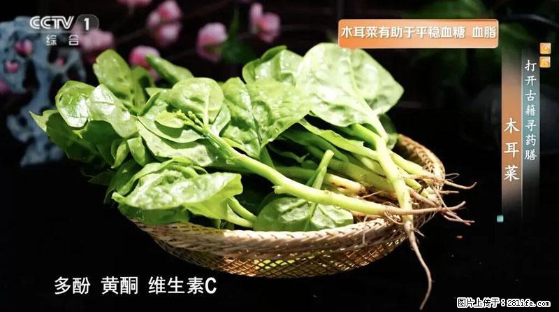比牛奶补钙还厉害！凉血解毒、稳血糖...这菜冬天必吃，很多人却当草 - 锦州生活资讯 - 锦州28生活网 jinzhong.28life.com