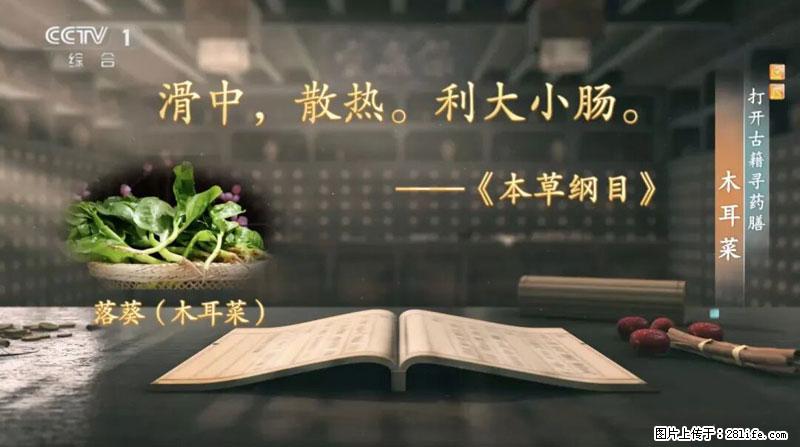 比牛奶补钙还厉害！凉血解毒、稳血糖...这菜冬天必吃，很多人却当草 - 锦州生活资讯 - 锦州28生活网 jinzhong.28life.com