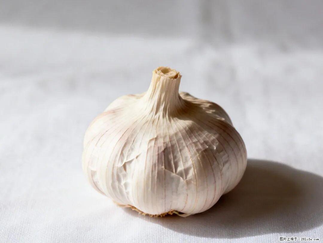 关于大蒜，除了“天然抗生素”，这4个谣言更该警惕! - 锦州生活资讯 - 锦州28生活网 jinzhong.28life.com