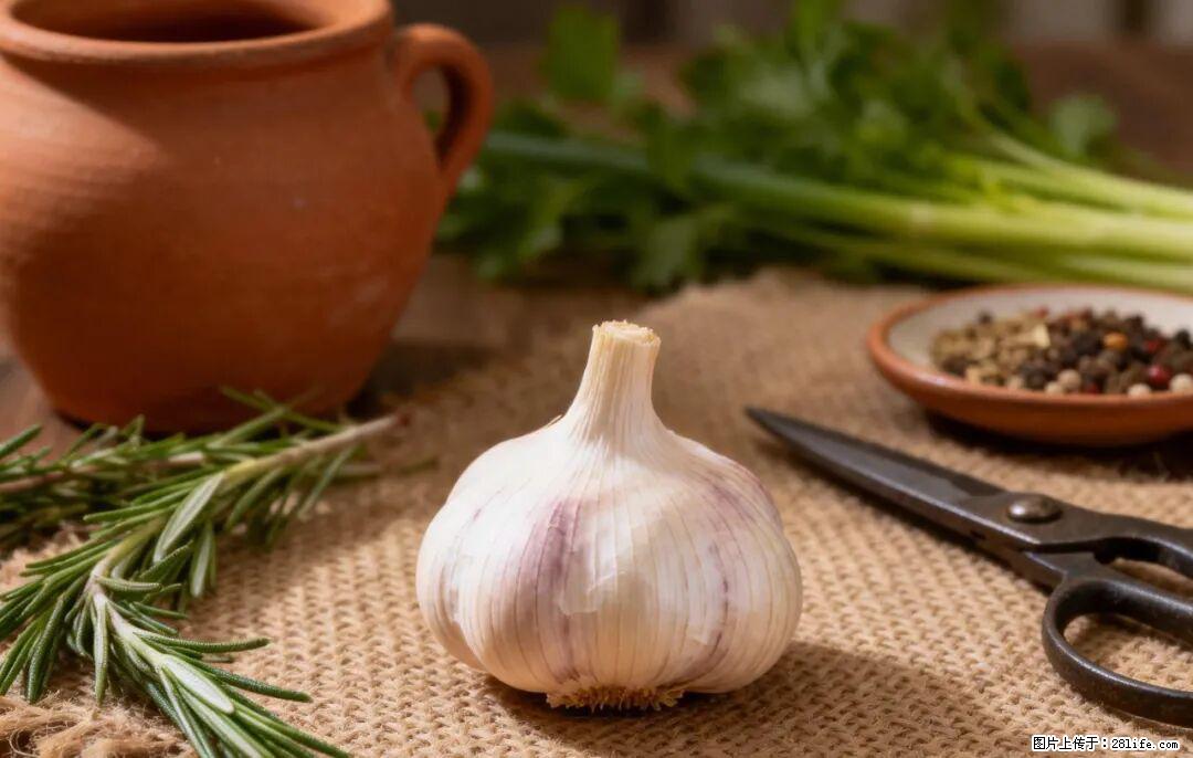 关于大蒜，除了“天然抗生素”，这4个谣言更该警惕! - 锦州生活资讯 - 锦州28生活网 jinzhong.28life.com