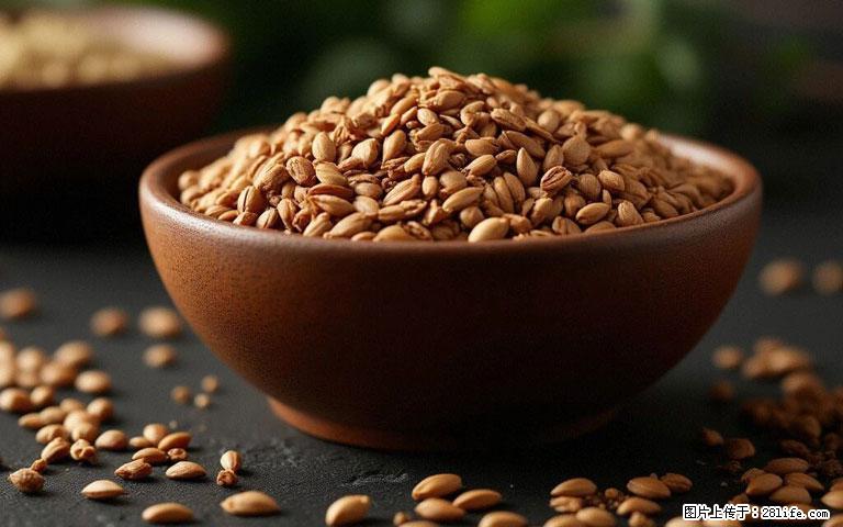 这三苦是三高“克星”，心血管干净不易堵！每天吃一点，指标慢慢降下来~ - 锦州生活资讯 - 锦州28生活网 jinzhong.28life.com