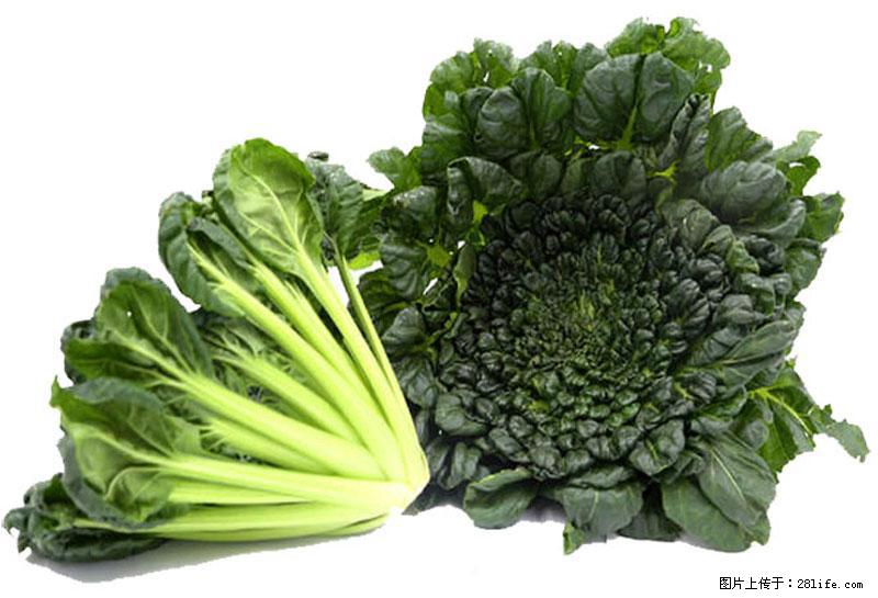 这些蔬菜是“天然钙片”，这6种被医生重点推荐 - 锦州生活资讯 - 锦州28生活网 jinzhong.28life.com