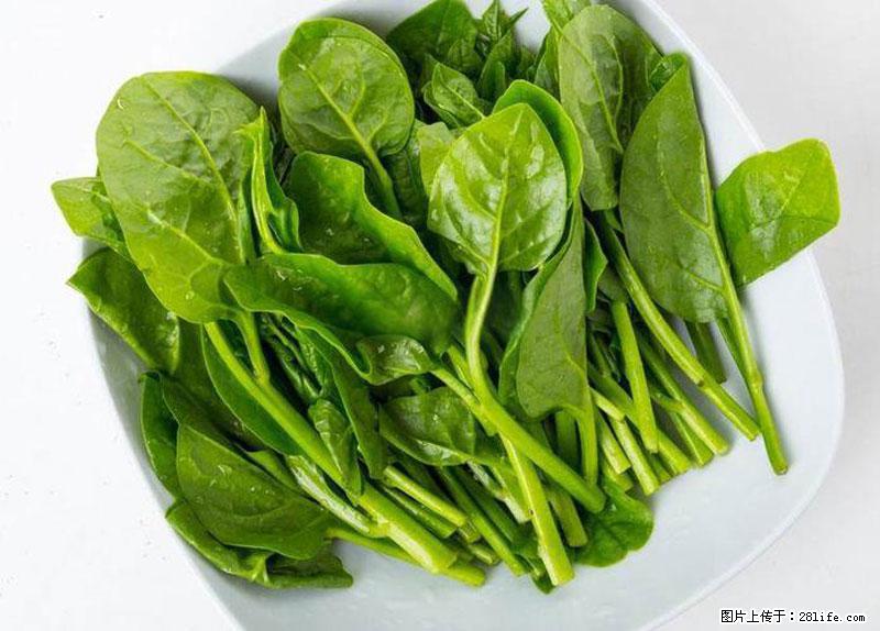 这些蔬菜是“天然钙片”，这6种被医生重点推荐 - 锦州生活资讯 - 锦州28生活网 jinzhong.28life.com