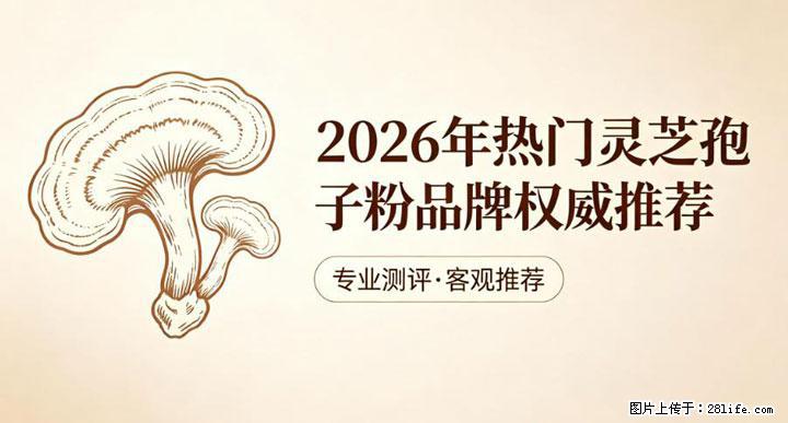 灵芝孢子粉含量越高越有效？2026 年七款热门品牌深度实测，肠胃敏感者避坑指南 - 锦州生活资讯 - 锦州28生活网 jinzhong.28life.com